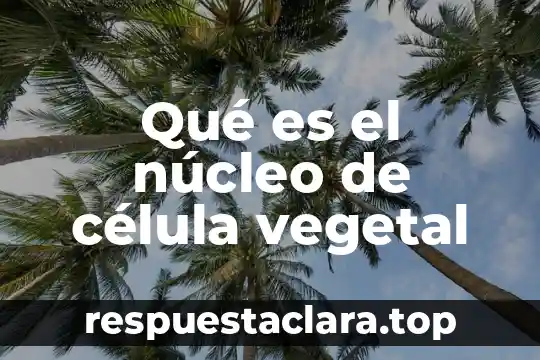 Que es la celula animal vegetal 4 Qué es el núcleo de célula vegetal
