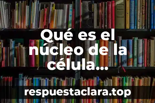 ¿Qué es la célula vegetal y animal? 4 Qué es el núcleo de la célula procariota