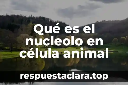 Que es un bobcat animal 5 Qué es el nucleolo en célula animal