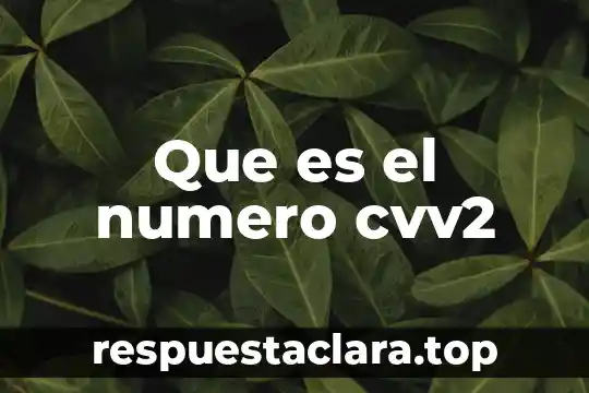 Que es el numero cvv2