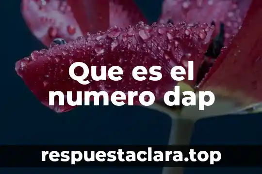 Qué es el número Pr en fluidos 3 Que es el numero dap