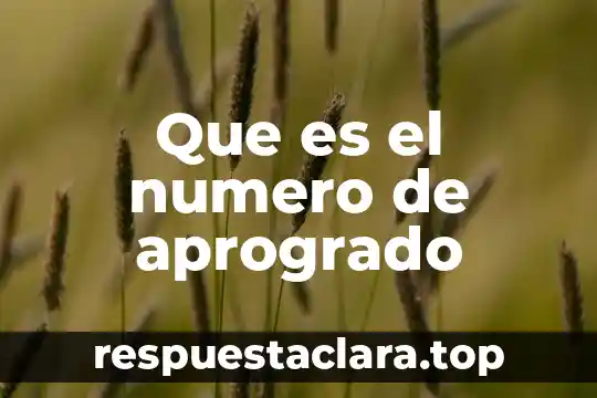 Qué es instrumento número 5 Que es el numero de aprogrado
