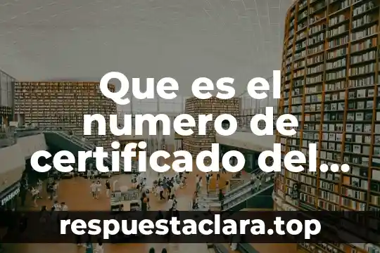 Número de chasis que es 7 Que es el numero de certificado del sat