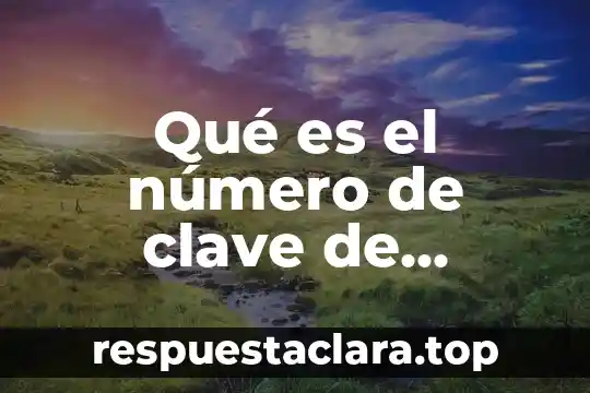 Número de chasis que es 5 Qué es el número de clave de división