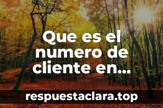 Que es el numero de cliente en banamex