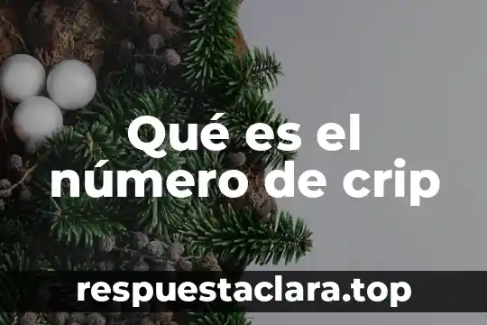Qué es el número de crip