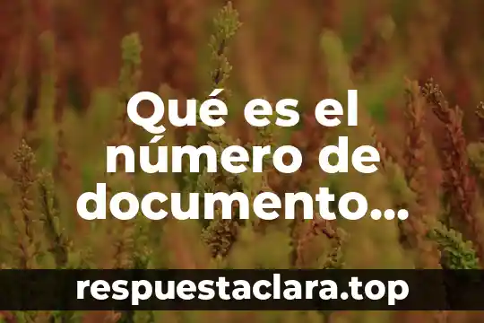 Qué es el número de documento propietario