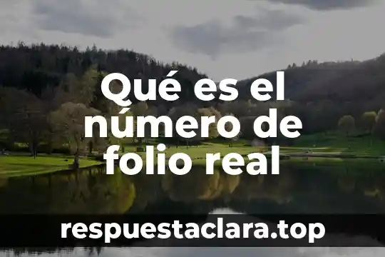 Qué es un número de punto fijo 7 Qué es el número de folio real
