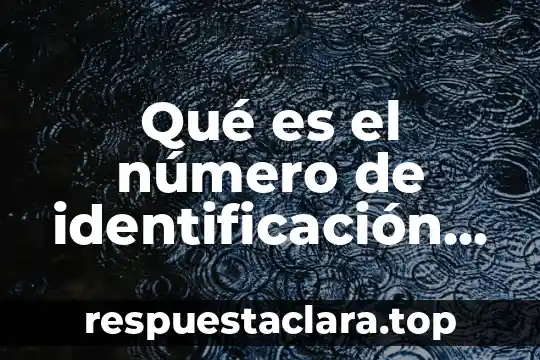 Que es la tasa fiscal definicion 6 Qué es el número de identificación fiscal en República Dominicana