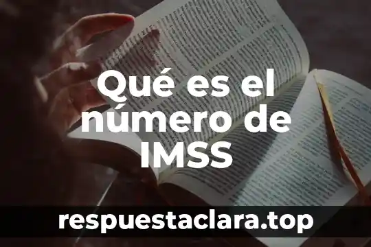Qué es número cívico 5 Qué es el número de IMSS