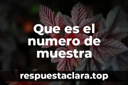 Que es el numero de muestra
