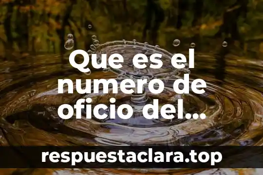 Qué es número de clase o intervalos 3 Que es el numero de oficio del organizmo