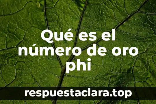 Que es el nie número de identidad de extranjero 5 Qué es el número de oro phi