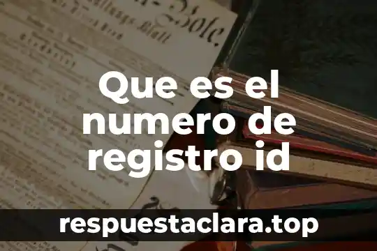 Que es el numero de registro id