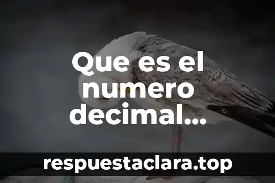 Que es el numero decimal llamado decimo