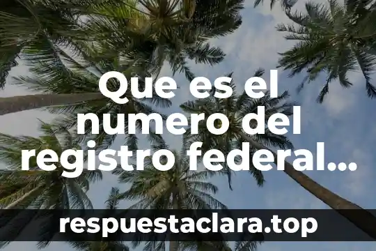 Que es el numero del registro federal de vehiculos