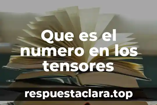 Qué es número cívico 4 Que es el numero en los tensores