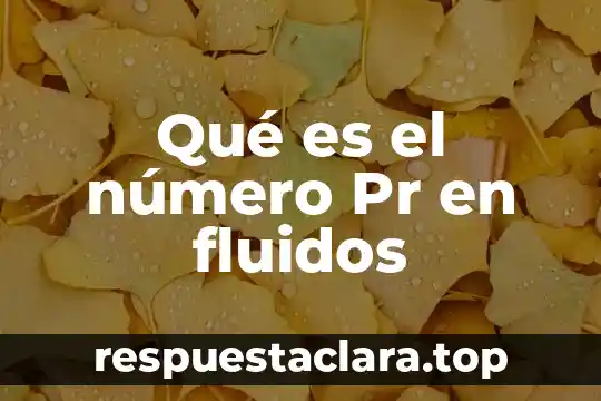 Qué es número de Google Voice 3 Qué es el número Pr en fluidos