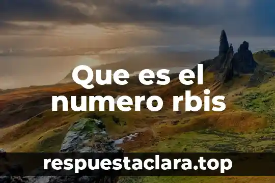 Que es el numero rbis