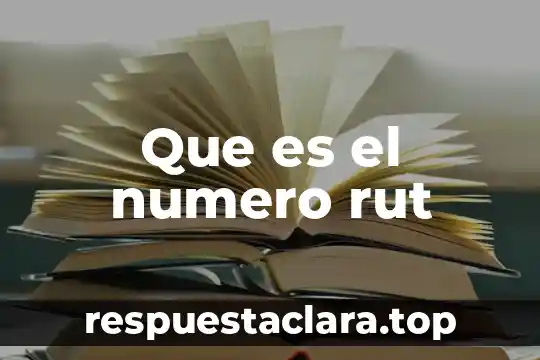 Que es el numero rut