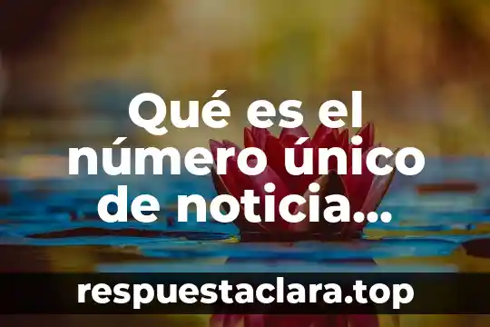 Qué es número de expediente 5 Qué es el número único de noticia criminal