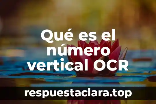 Qué es el número vertical OCR