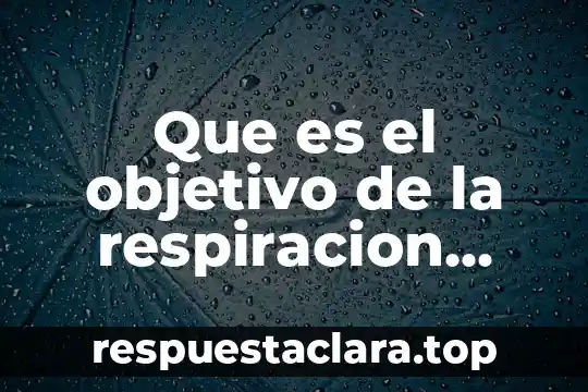 Que es el objetivo de la respiracion celular
