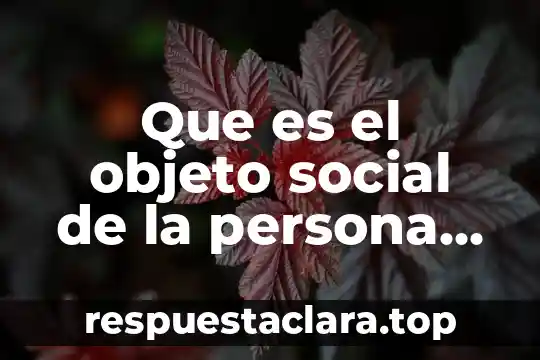 Que es ser una persona cusca 8 Que es el objeto social de la persona moral