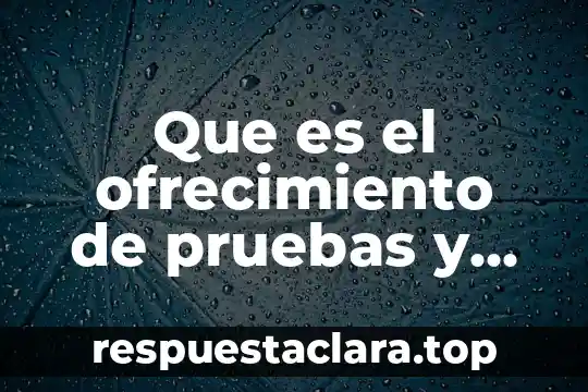 Que es el ofrecimiento de pruebas y alegatos