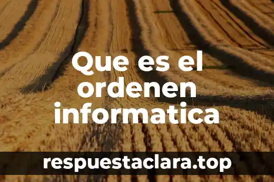 Que es el ordenen informatica