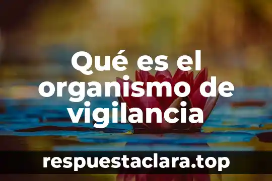 Qué es el organismo de vigilancia