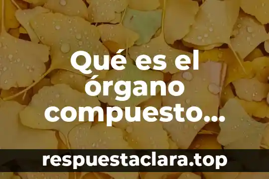 Que es h2so4 en quimica que tipo de compuesto es 6 Qué es el órgano compuesto colorado