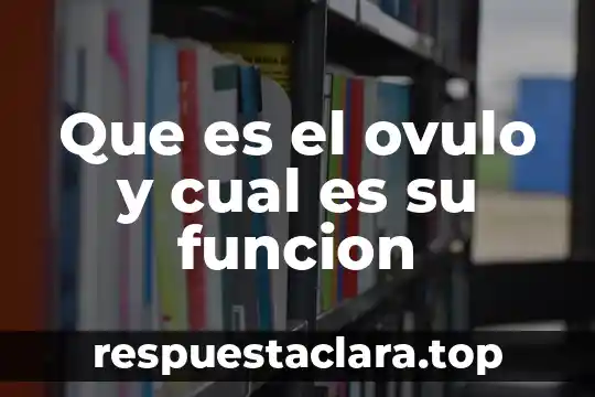 Que es el ovulo y cual es su funcion