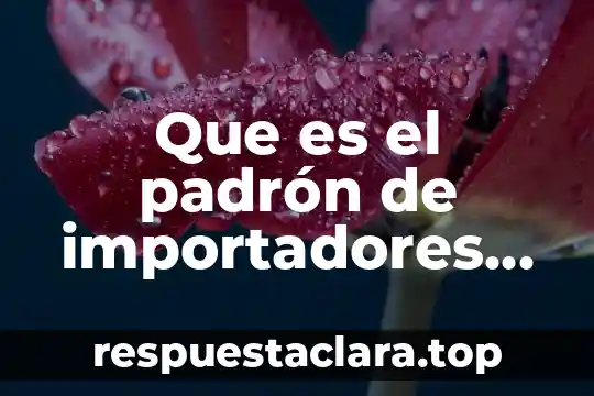 Que es padron sectorial se necesita para cambiar mi nombre 5 Que es el padrón de importadores sectorial