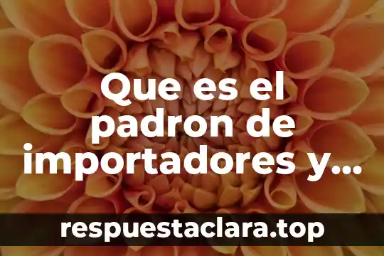 Que es padron sectorial se necesita para cambiar mi nombre 7 Que es el padron de importadores y exportadores sectorial