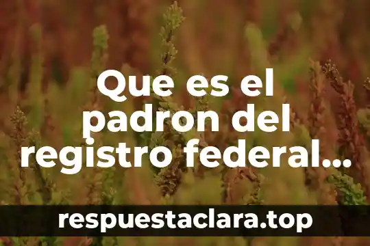 Que es padron sectorial se necesita para cambiar mi nombre 6 Que es el padron del registro federal de contribuyentes
