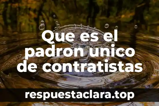 Que es padron sectorial se necesita para cambiar mi nombre 4 Que es el padron unico de contratistas