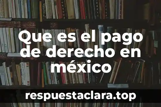 Que es el pago de derecho en méxico