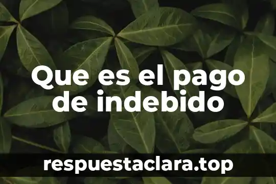 Qué es el sujeto excento de pago 6 Que es el pago de indebido