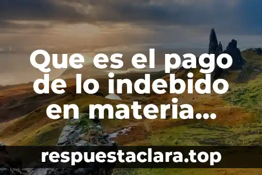 Qué es el número de identificación fiscal en República Dominicana 3 Que es el pago de lo indebido en materia fiscal