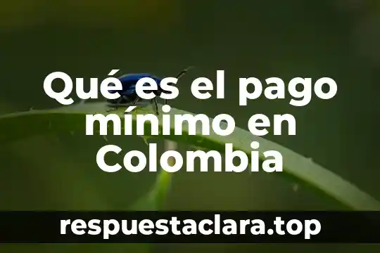 Qué es el pago mínimo en Colombia