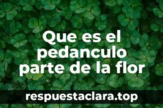 Que es el pedanculo parte de la flor