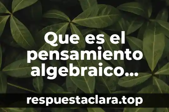 Que es el pensamiento algebraico definicion