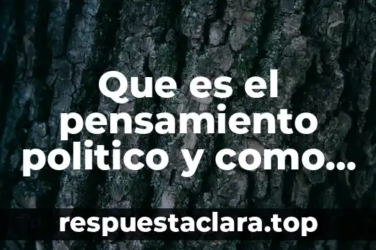 Que es el pensamiento politico y como se manifiesta