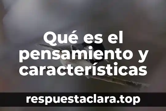 Qué es la teoría del conflicto en negociación 3 Qué es el pensamiento y características