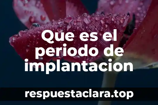Que es el periodo en una señal cuadrada 8 Que es el periodo de implantacion