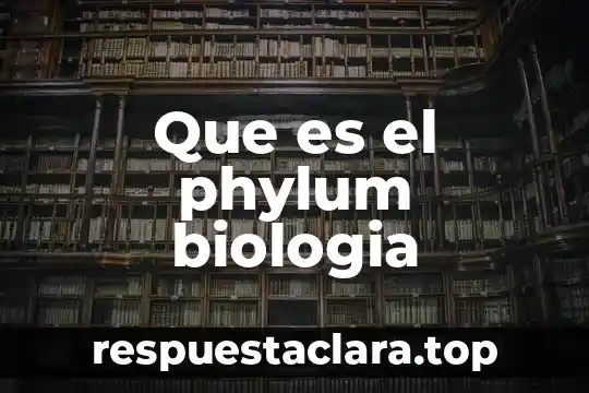 Que es lateralidad en biologia 8 Que es el phylum biologia