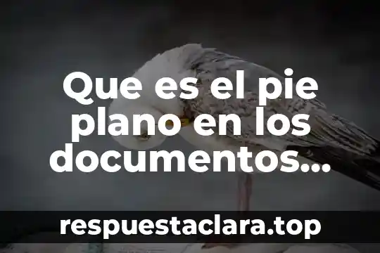 Si se me torció el pie qué es bueno 8 Que es el pie plano en los documentos de word