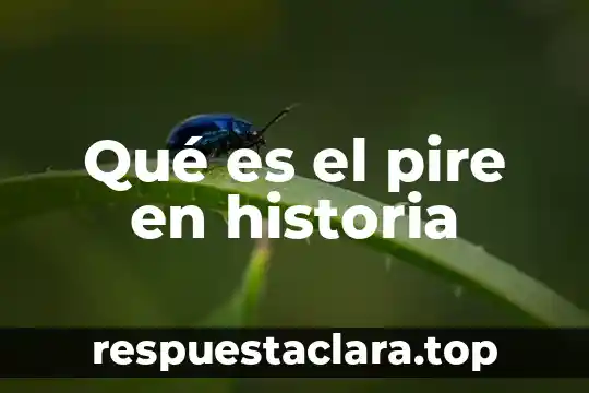 Que es lerdo en historia 8 Qué es el pire en historia