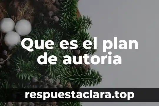Que es el plan de autoria
